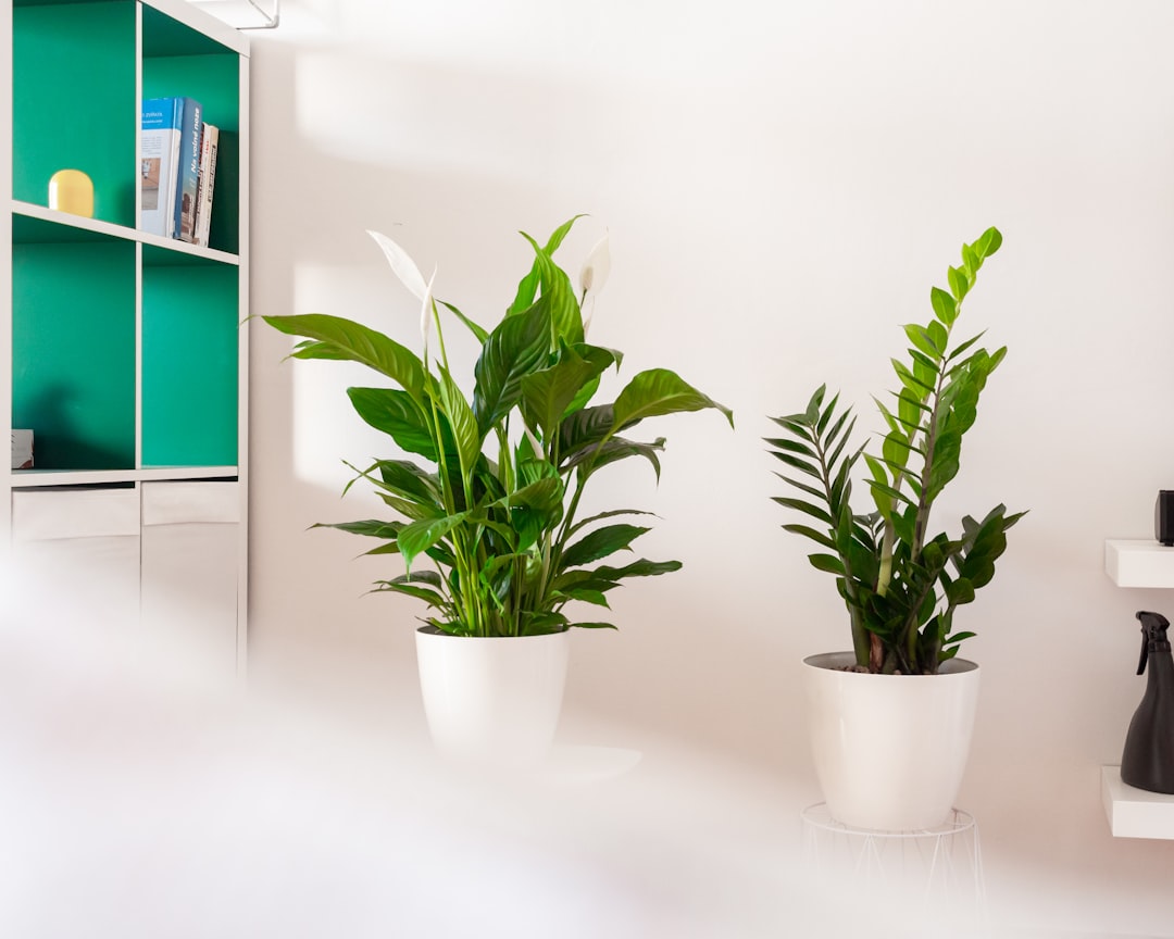 Transform Your Indoor Space with Innovative Home Plant Care Solutions