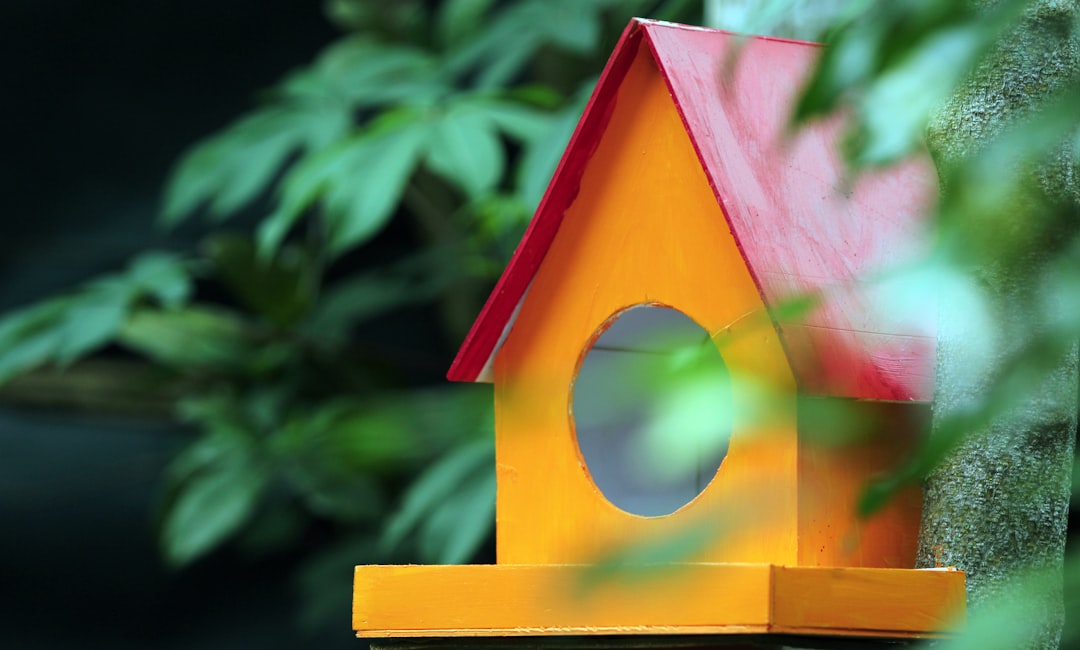 Sustainable Living Essentials Eco-Friendly Products for a Greener Home