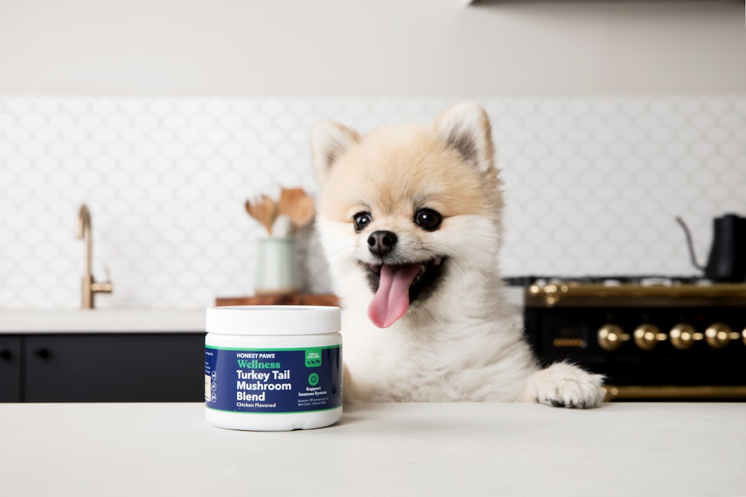 Top Essential Pet Supplies to Keep Your Furry Friends Healthy and Happy