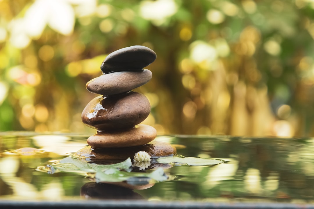 Mastering Mindfulness for a Balanced Life Unlocking Tools and Products to Enhance Everyday Wellbeing