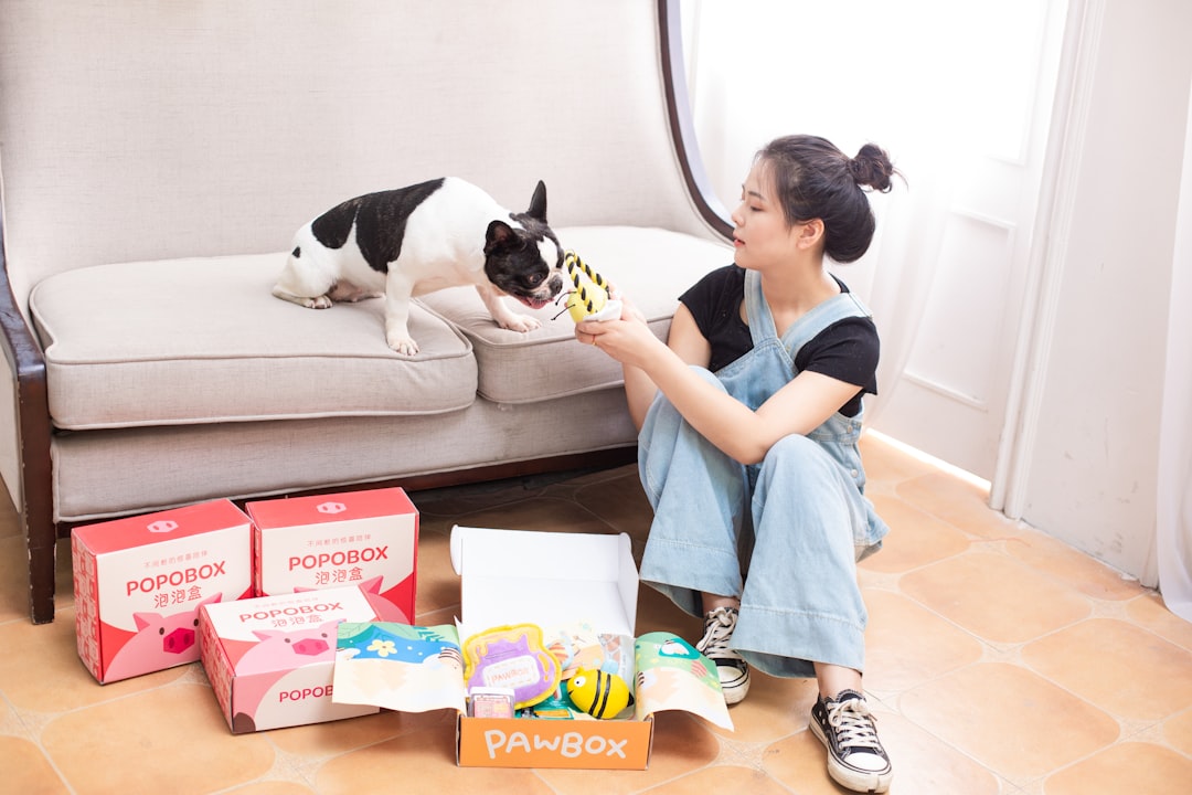 Top Must-Have Pet Supplies Every American Pet Owner Needs for a Happier Home
