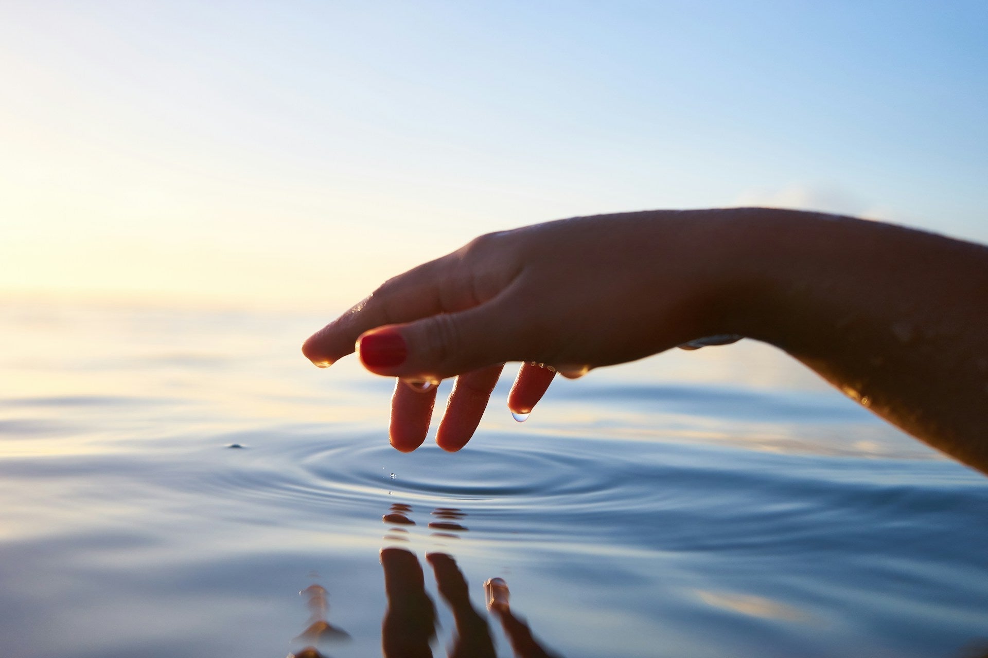 Top 5 Wellness Products to Upgrade Your Everyday Life