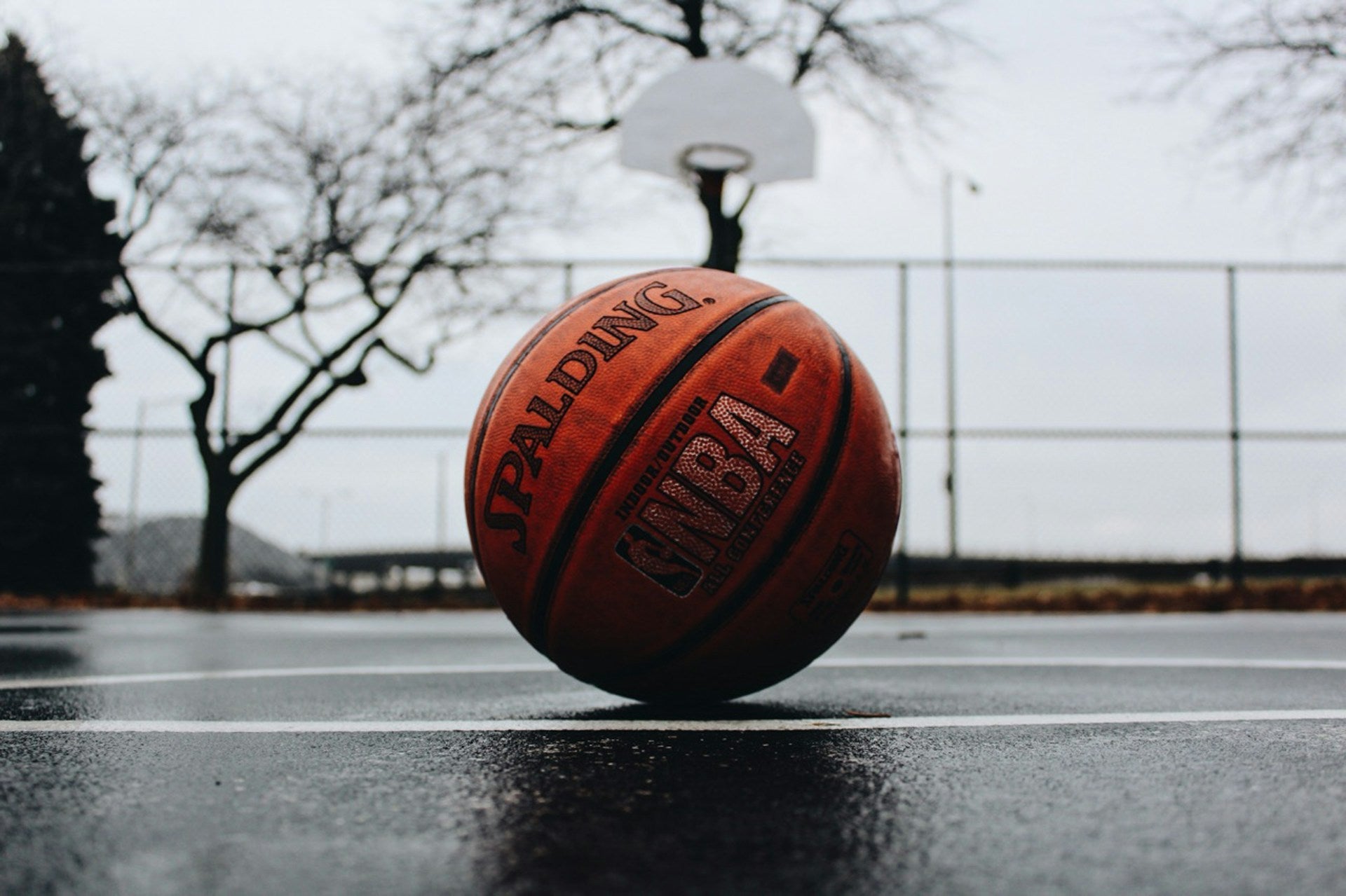 Sports & Entertainment