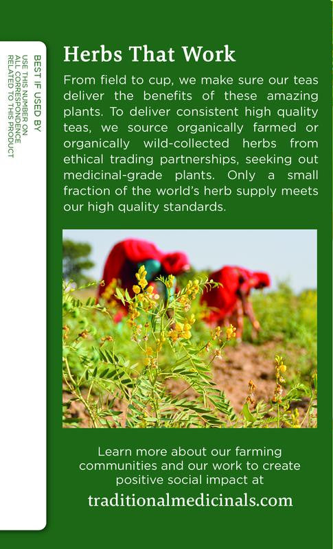 Traditional Medicinals Organic Fennel Tea – Herbal Digestive Support (6x16 Bags)