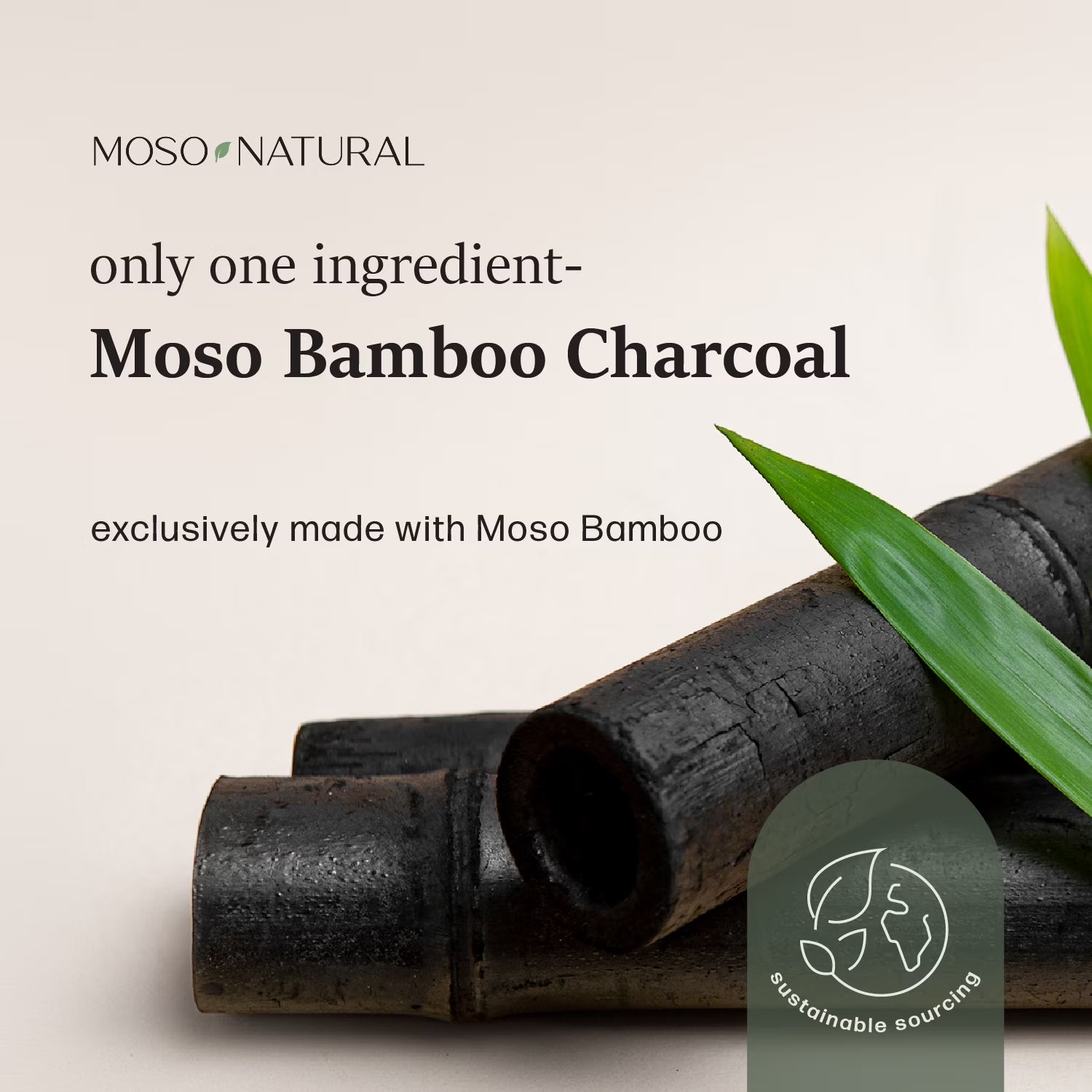 Moso Natural Air Purifying Bag Mini 1 Ea