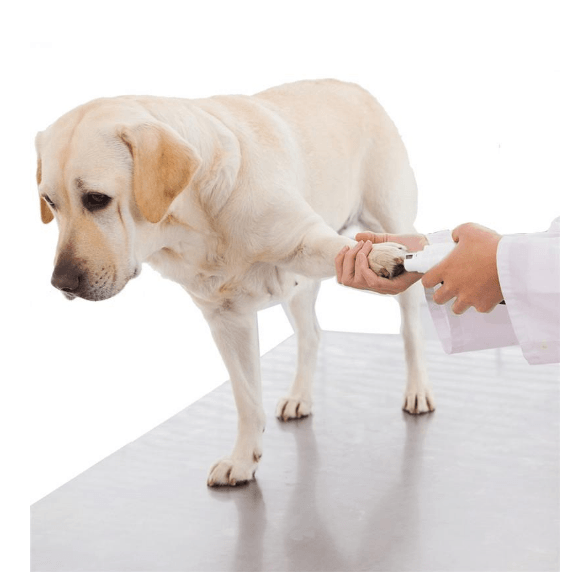 USB Rechargeable Pet Nail Grinder for Dogs and Cats - Gentle and Quiet Nail Trimmer System for Stress-Free Grooming