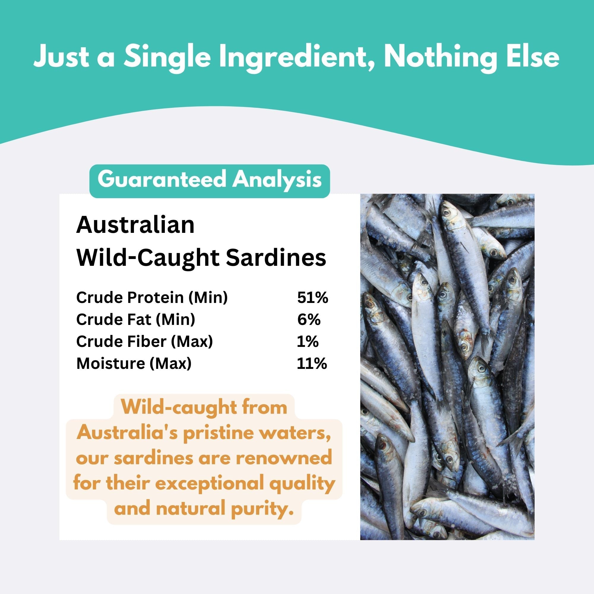 Australian Sardines Dog Treats - High Omega-3, Protein-Rich, Sustainably Wild-Caught 
