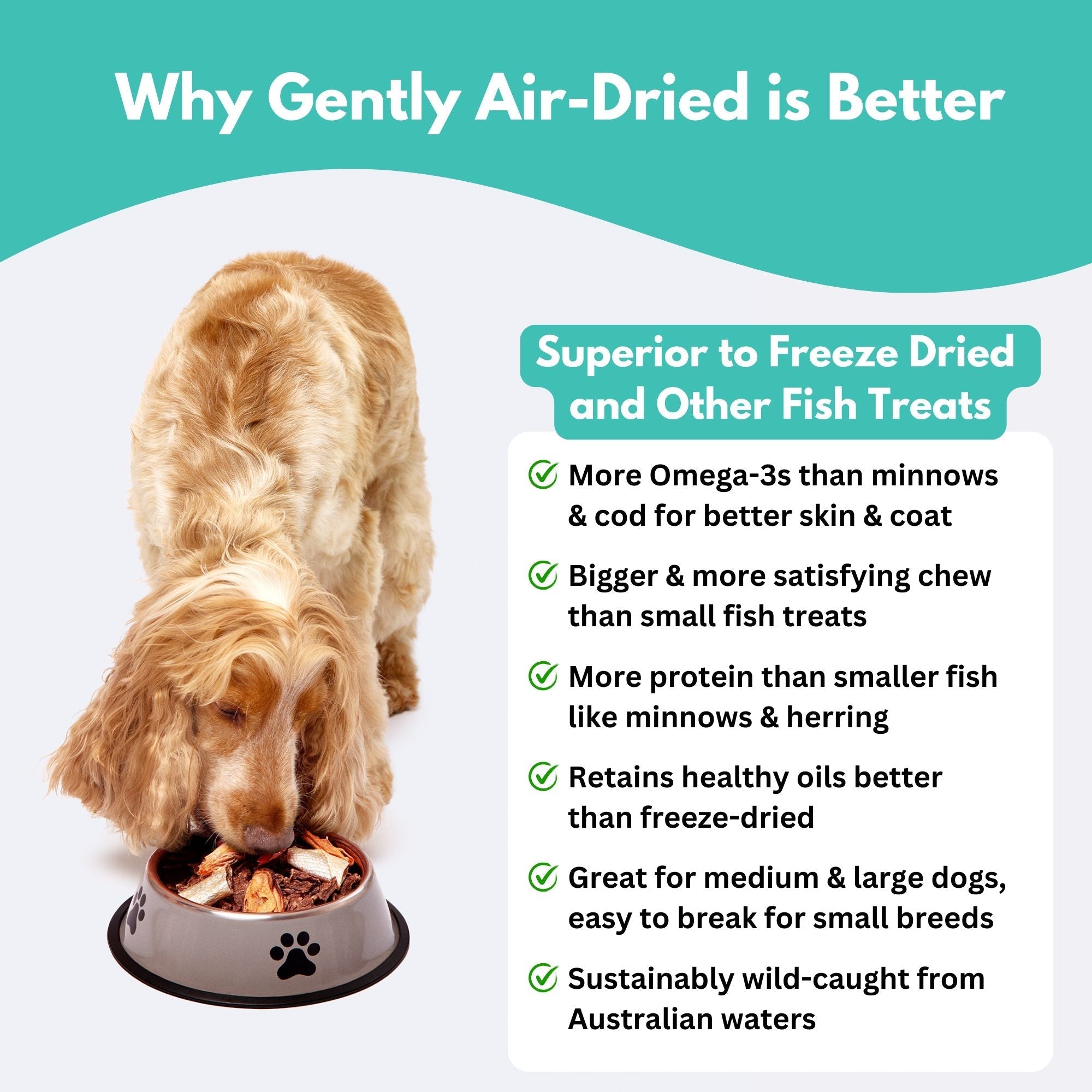 Australian Sardines Dog Treats - High Omega-3, Protein-Rich, Sustainably Wild-Caught 