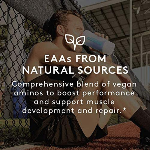 RSP AminoLean – Vegan Acai (7.94 oz) | Plant-Based Amino Acids, Anytime Energy & Weight Management