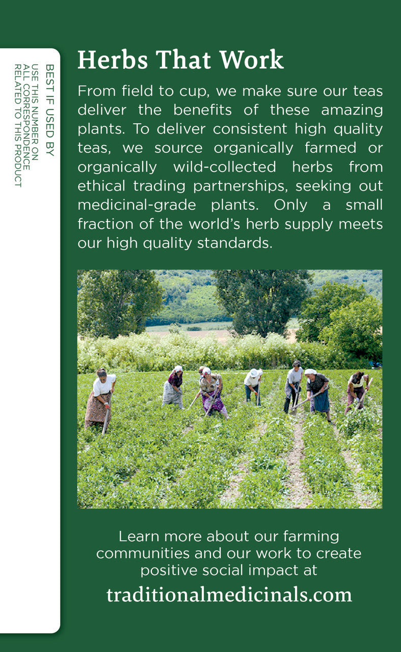 Traditional Medicinals Organic Peppermint Tea – Refreshing Herbal Tea for Digestion & Wellness (6x16 Bags)