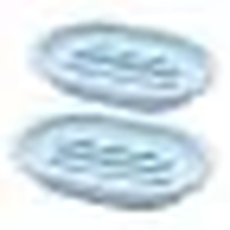 Qishi 2-Pack Soap Dish with Drain, Soap Holder, Soap Saver, Easy Cleaning, Dry, Stop Mushy Soap (Blue)
