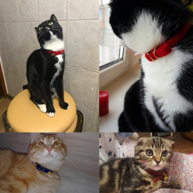 Luxury Velvet Cat Collar - Adjustable Soft Flocking Design for Fashionable Felines