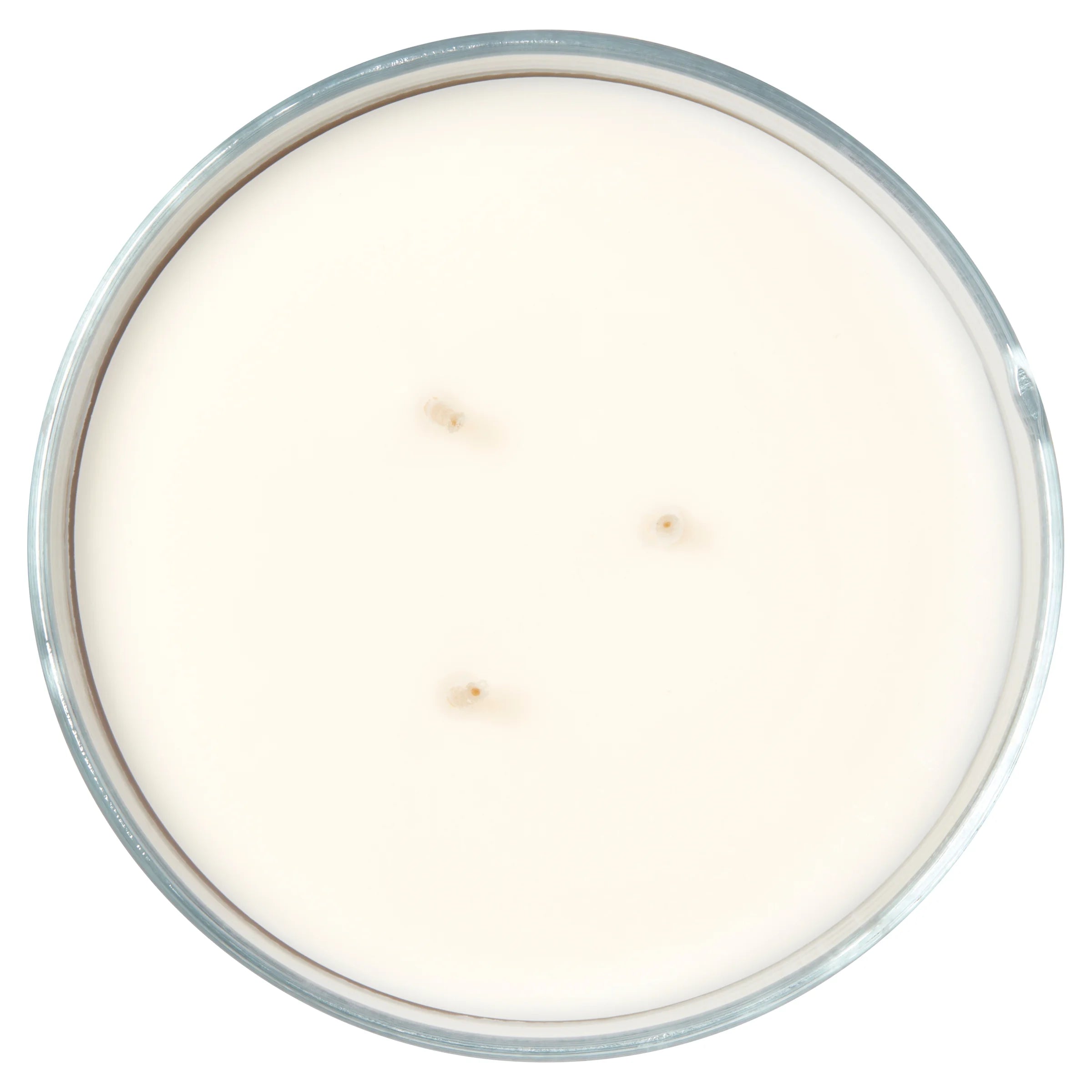 Mainstays 3 Wick Textured Wrapped Orchid Water Candle, 14 Ounce