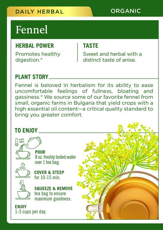 Traditional Medicinals Organic Fennel Tea – Herbal Digestive Support (6x16 Bags)
