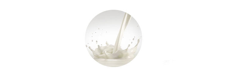 Honey Lip Scrub Exfoliating Hydrating Milk Lip Care for Dry Chapped Lips – A’PIEU Honey & Milk Lip Scrub 8ml