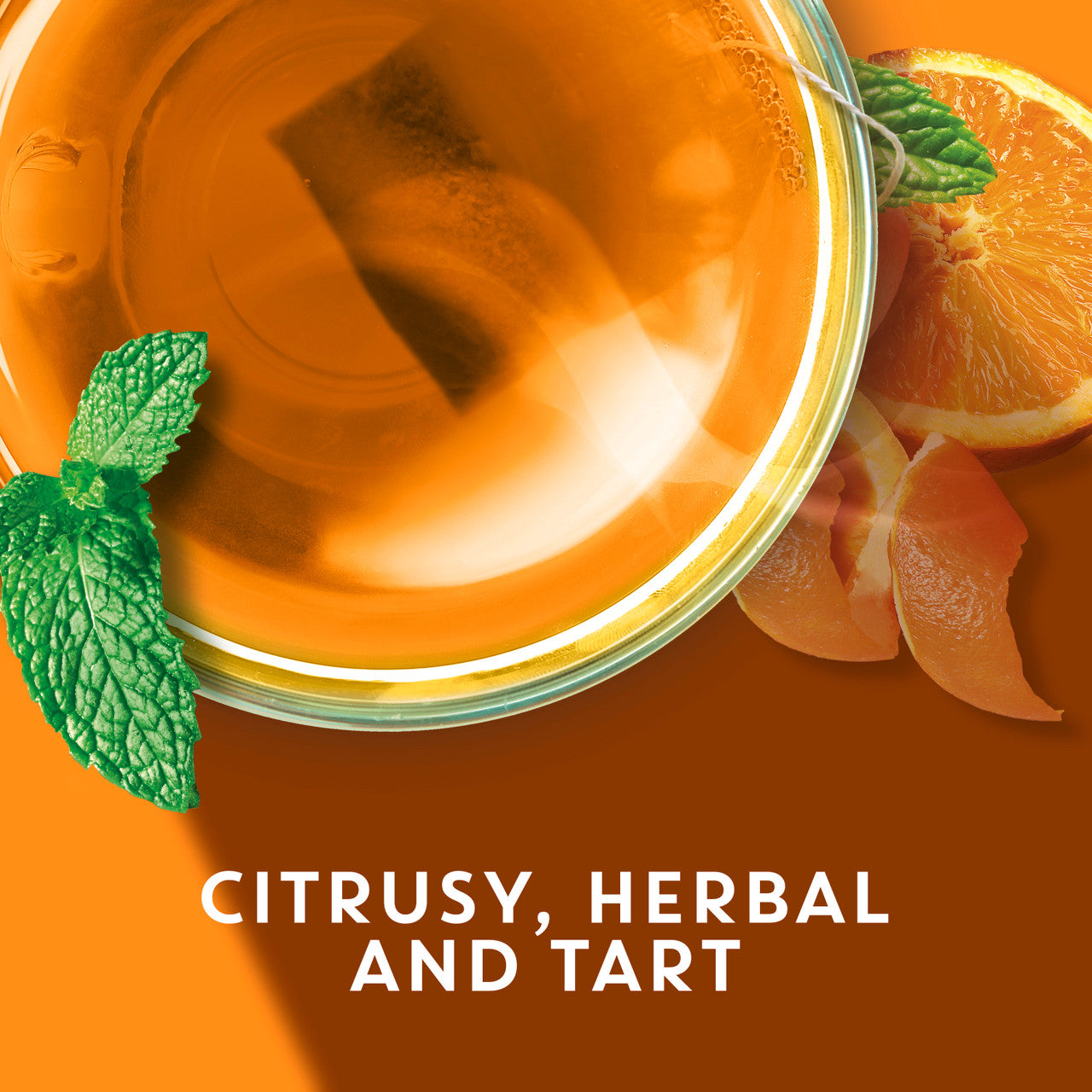 Tazo Wild Sweet Orange Herbal Tea – Caffeine-Free Citrus Blend (6x20 Bags)