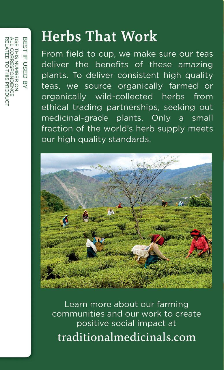 Traditional Medicinals Organic Golden Ginger & Chamomile Tea – Digestive Support Herbal Tea (6x16 Bags)