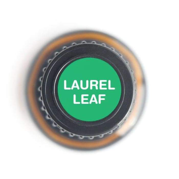 Organic Laurel Leaf Essential Oil 15ml - Aromatherapy for Mind Clarity & Confidence