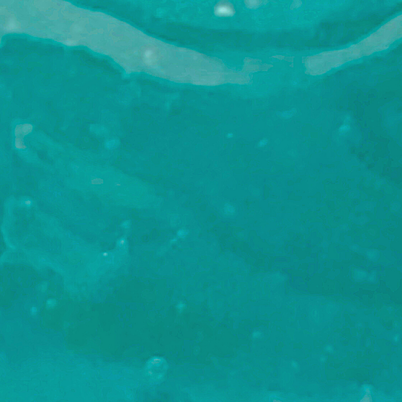 OCEAN JELLY  Mask -it's back in stock!-4