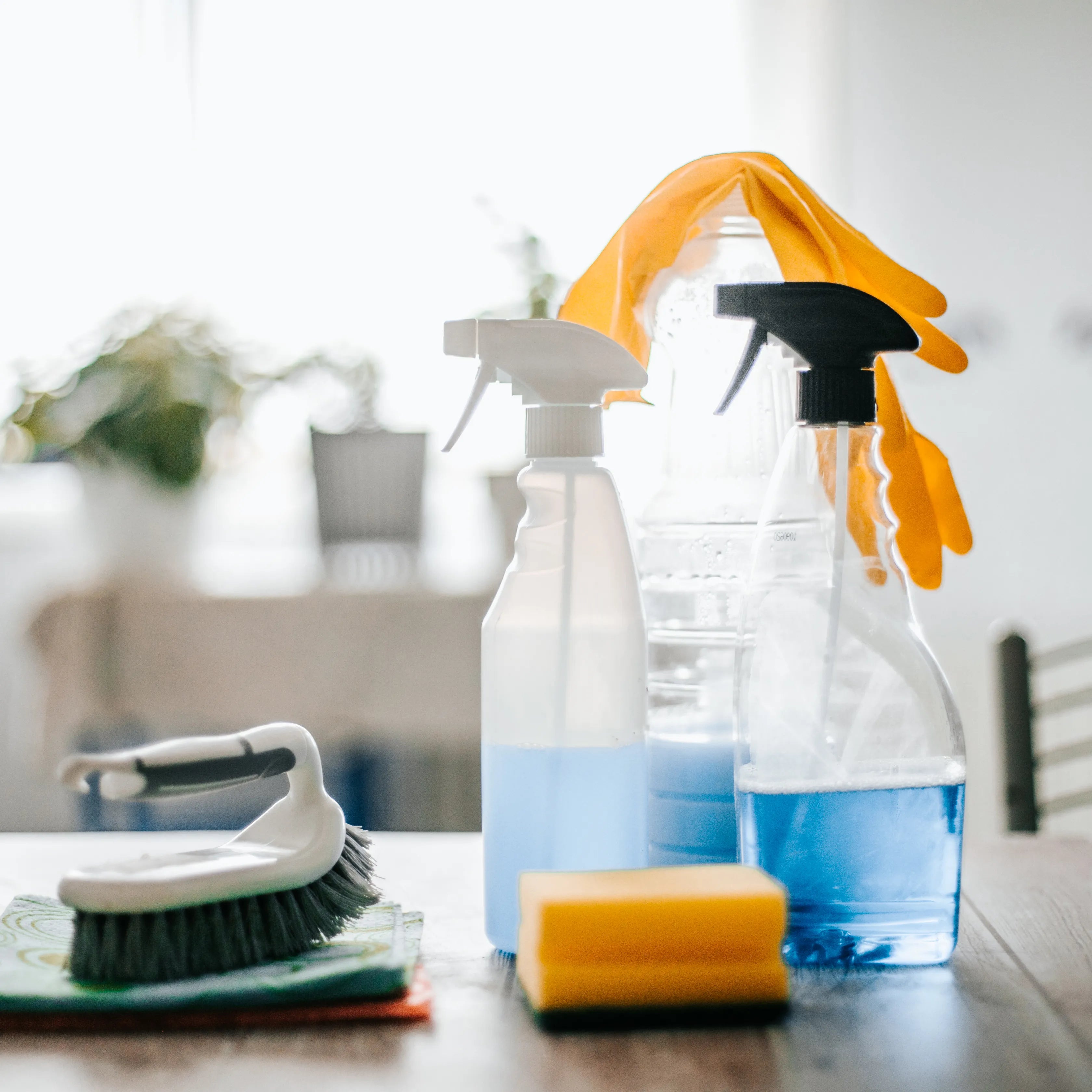 Cleaning & Organization